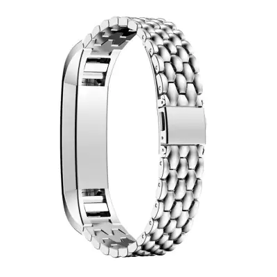 Stainless steel Fitbit / Fitbit Alta and Alta HR