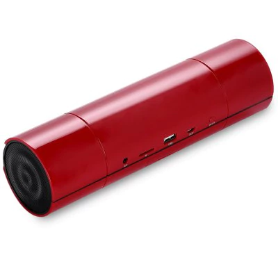 Portable Bluetooth Speaker with FM Radio JKR KR - 8800